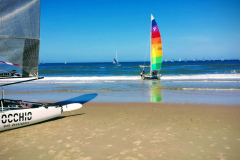 20150604_105223-EFFECTS-scaled